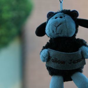 Meet your Posher, Winnie